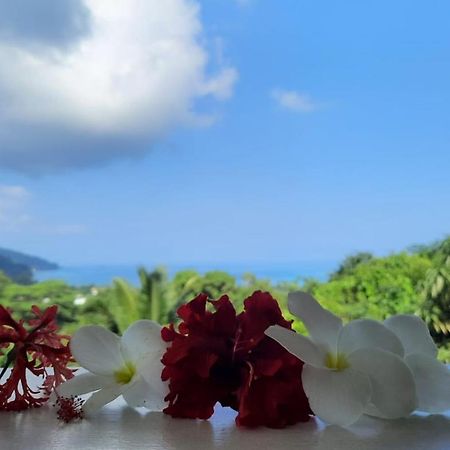 Cella Villa Anse a La Mouche 외부 사진