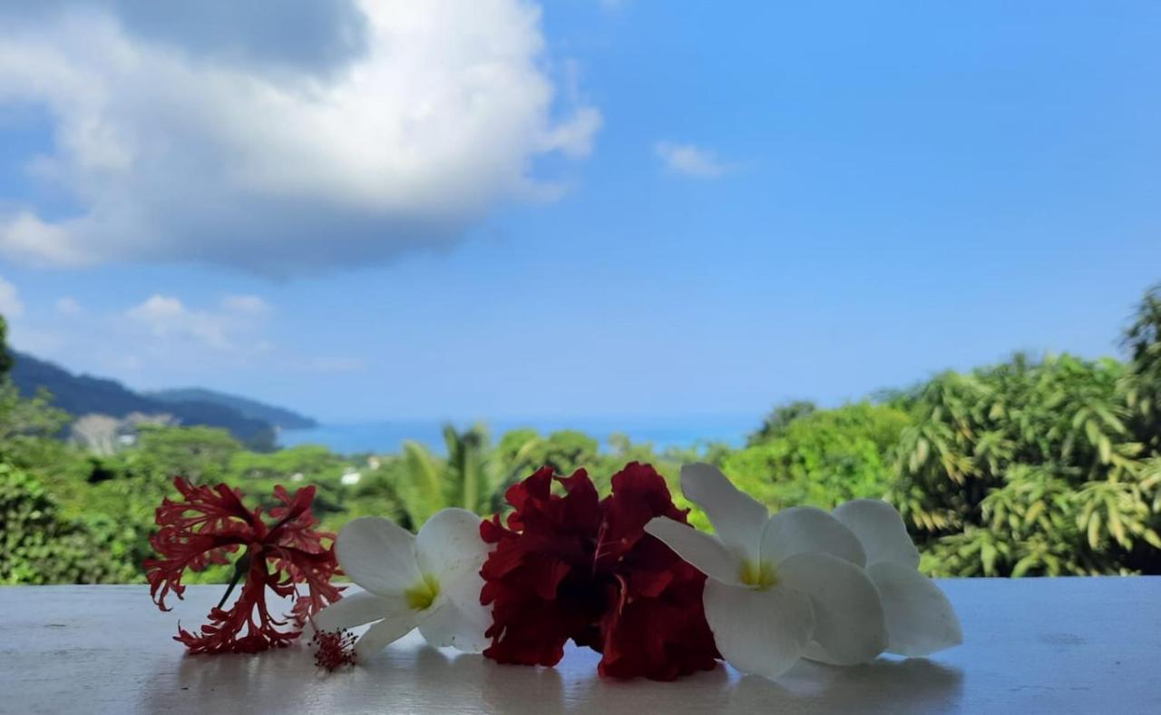 Cella Villa Anse a La Mouche 외부 사진